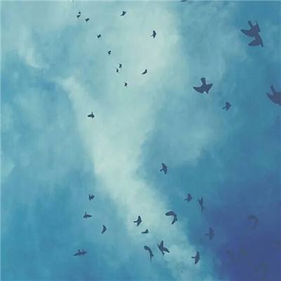星辰亦手游公益服下载
